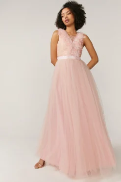 Coast Feather Detail Plunge Dress