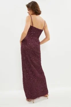 Coast Cowl Neck Corset Bodice Sequin Maxi Dress -Coast Shop bcc02689 aubergine xl 2