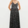 Coast Premium Multi Colour Sequin Maxi Dress