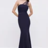 Coast Mesh One Shoulder Sculpting Crepe Bridesmaid Maxi Dress