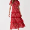 Coast Tiered Lace Dress With Flutter Sleeve & Trims