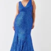 Coast Plus Size Sequin Fishtail Maxi Dress