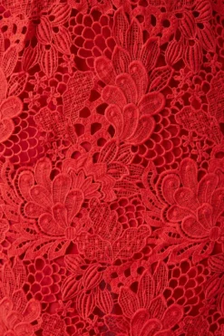 Coast Puff Sleeve Lace Pencil Dress -Coast Shop bcc05118 orange xl 4