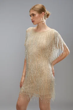 Coast Two Tone Beaded Fringe Short Sleeve Mini Dress -Coast Shop bcc05610 pearl xl 2 scaled