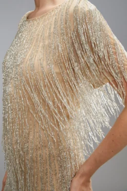 Coast Two Tone Beaded Fringe Short Sleeve Mini Dress -Coast Shop bcc05610 pearl xl 3 scaled