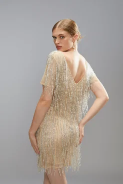 Coast Two Tone Beaded Fringe Short Sleeve Mini Dress -Coast Shop bcc05610 pearl xl 4 scaled