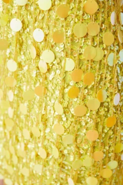 Coast Disc Sequin Halterneck Mini Dress -Coast Shop bcc05822 yellow xl 3