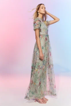 Coast The Collector Mesh Maxi Dress With Sequins